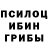 Псилоцибиновые грибы мицелий Phillip Wasco