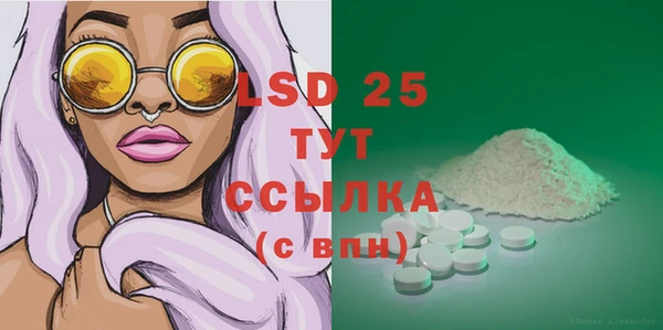 стаф Горняк