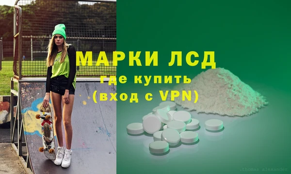 стаф Горняк