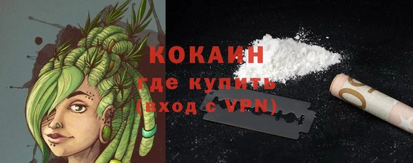 стаф Горняк